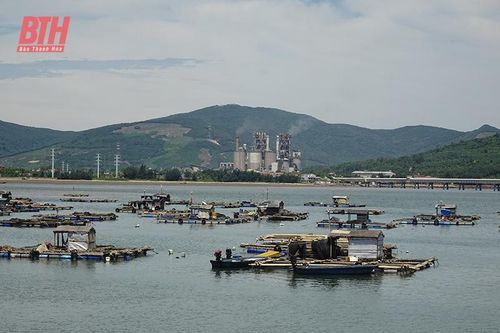 Nuôi cá lồng tự phát: vừa nuôi vừa lo!