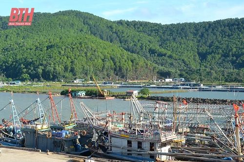 Hậu Lộc phát triển kinh tế thủy sản hiệu quả, bền vững