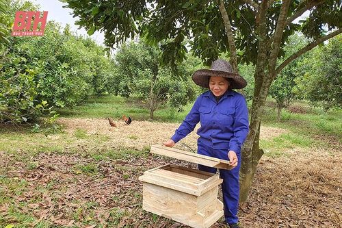 Thực hiện quy chế dân chủ cơ sở để khơi dậy sức dân