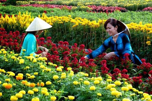 Công bố bộ nhận diện thương hiệu Làng Văn hóa du lịch Chợ Lách