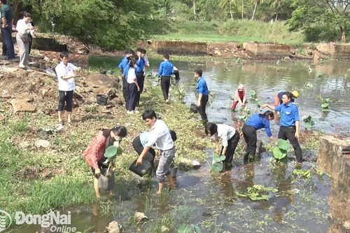 Khắp nơi trong tỉnh chiều 18-7-2024