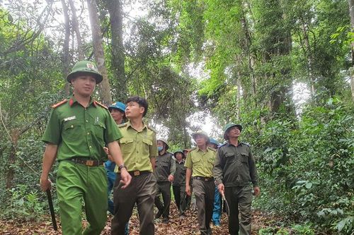Kbang quyết liệt ngăn chặn hành vi xâm hại rừng