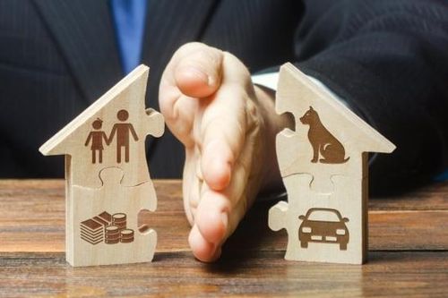 Luật sư Bùi Thanh Vũ tư vấn về giải quyết tranh chấp bất động sản sau ly hôn