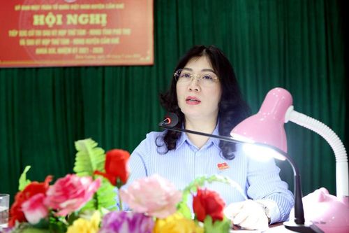 Tiếp xúc cử tri tại huyện Cẩm Khê