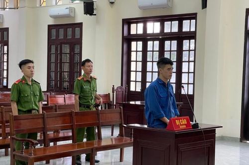 Tuyên án 10 năm tù đối tượng vận chuyển động vật hoang dã từ Châu Phi qua Cảng Hải Phòng