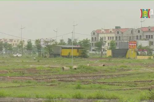 Quy định mới về điều chỉnh thời hạn sử dụng đất