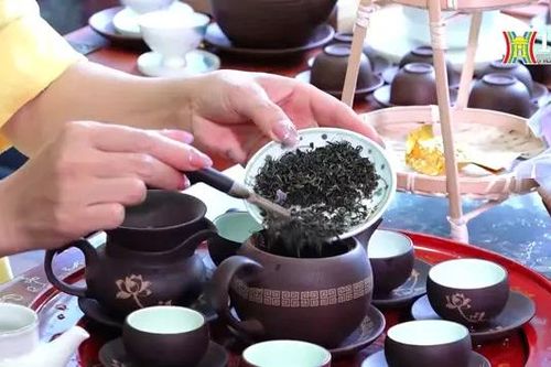 Thưởng trà tại Lễ hội Sen Hà Nội