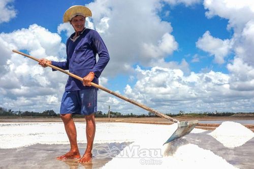 Phát huy lợi thế ngành nghề nông thôn