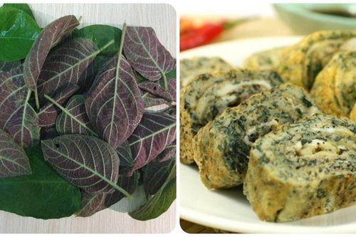 Lá mơ lông có tác dụng gì với sức khỏe?