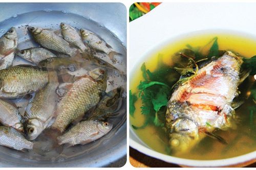 Loại cá rẻ tiền nhưng nhiều tác dụng với sức khỏe