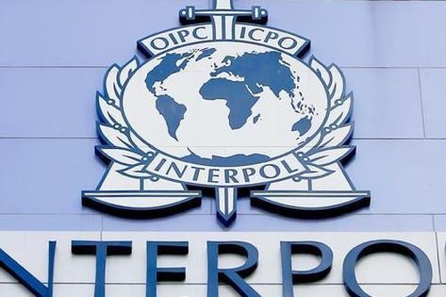 Interpol bắt giữ 300 người trong chiến dịch trấn áp tội phạm Tây Phi