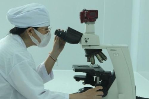 Số hóa dữ liệu về dược liệu nhằm đưa dược liệu Việt Nam vươn tầm thế giới