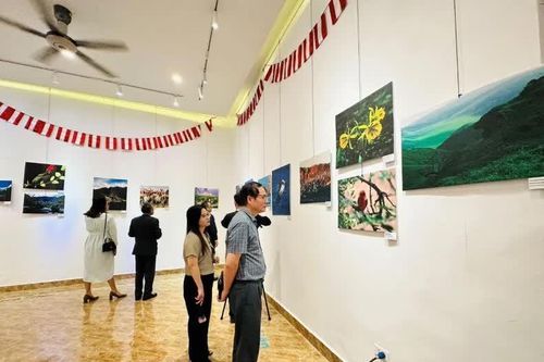 Chuyến du hành thị giác từ vùng biển tới núi cao và rừng rậm của Peru