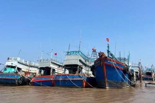 Công bố quyết định quy hoạch hệ thống cảng cá, khu neo đậu tránh trú bão cho tàu cá