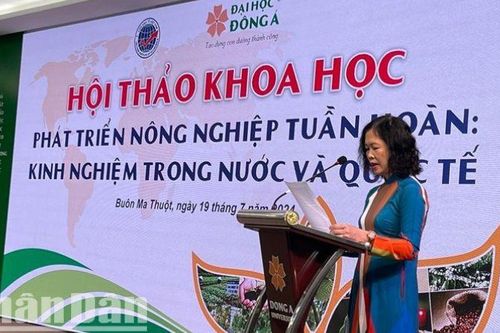 Thúc đẩy phát triển kinh tế nông nghiệp tuần hoàn ở Đắk Lắk