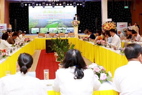 Quảng Nam tìm giải pháp bảo tồn, phát huy các giá trị hệ sinh thái đất ngập nước hồ Sông Đầm