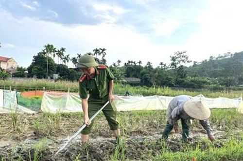 Phú Thọ: Cùng nhân dân gieo cấy vụ Hè Thu