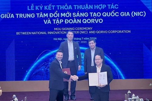 Đến và 'bén rễ xanh cây'