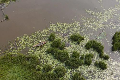 Hồ Sông Đầm đang phải đối diện với sự suy giảm đa dạng sinh học