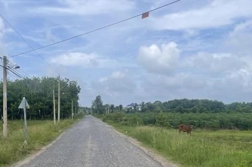 Công ty Tuấn Vy Tây Ninh 1 tháng trúng 4 gói thầu xây lắp