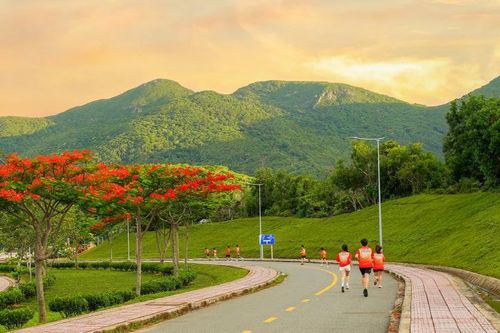 Save Turtles Run 2024 - chạy bộ vì rùa biển, ngắm hoàng hôn Côn Đảo