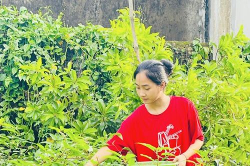 Nữ sinh nghèo chia sẻ bí quyết vượt khó đạt 29 điểm khối C