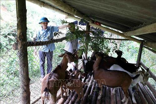 Hoàn thiện thể chế cho phát triển ngành nghề nông thôn