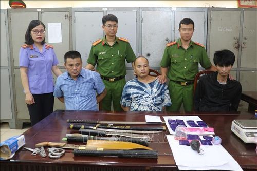 Phát hiện, xử lý nhiều vụ vi phạm pháp luật nghiêm trọng