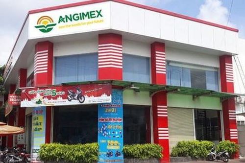 Angimex sắp bán 7 tài sản đảm bảo để lấy tiền trả nợ cho trái chủ