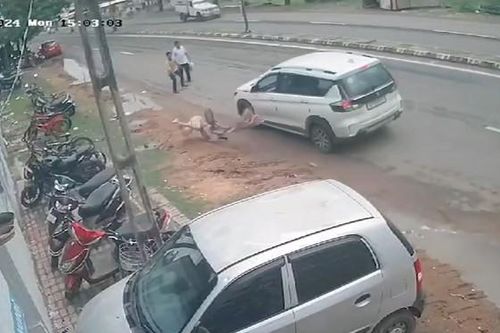 Clip: Đang đi bộ trên đường, người phụ nữ bị ô tô tông văng