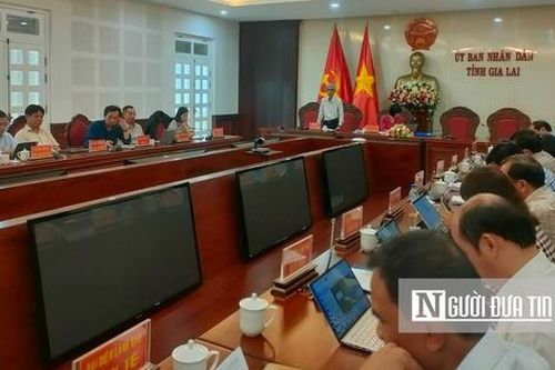 Gia Lai: Thông tin mới vụ hàng trăm ha cao su vô chủ trên đất rừng