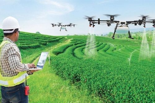 Những điểm nghẽn khoa học công nghệ trong lĩnh vực nông nghiệp