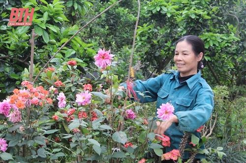Phát huy hiệu quả mô hình vườn mẫu ở Yên Định