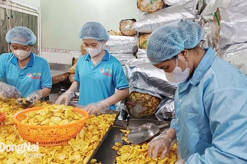 Giải bài toán liên kết sản xuất để gỡ khó cho nông dân