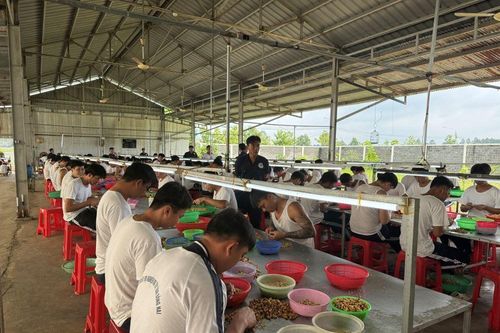 Chú trọng dạy nghề, tạo việc làm cho người sau cai nghiện ma túy