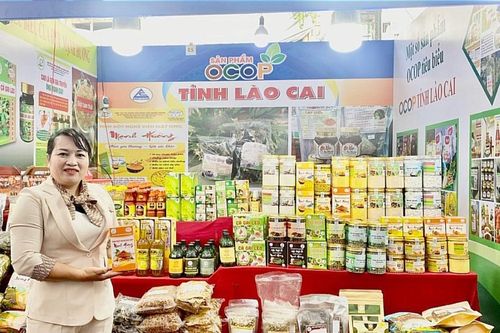 Giá trị các sản phẩm OCOP đạt hơn 30 tỷ đồng