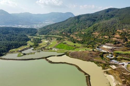 Chuyển hồ sơ vụ mất 37,5ha rừng sang cơ quan Công an