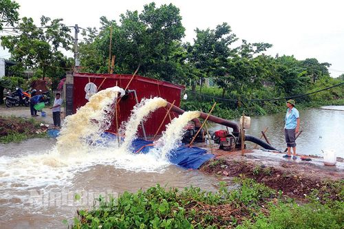 Khẩn trương khắc phục hậu quả mưa úng, bảo vệ sản xuất nông nghiệp