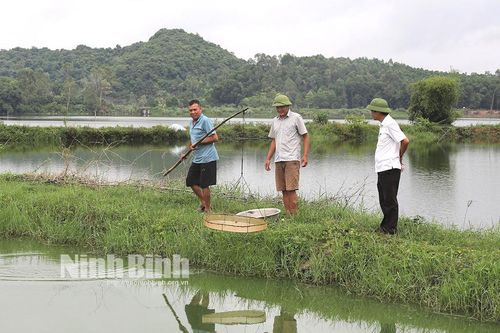 Văn Phú năng động phát triển kinh tế