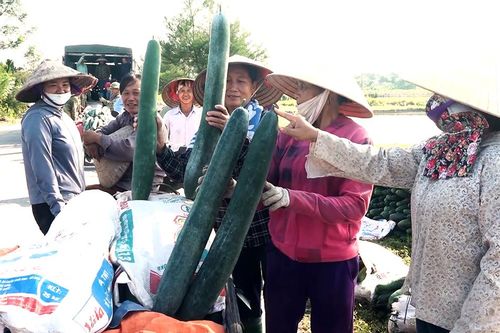Sức sống mới ở Văn Lang