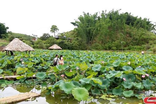 Hạt mưa