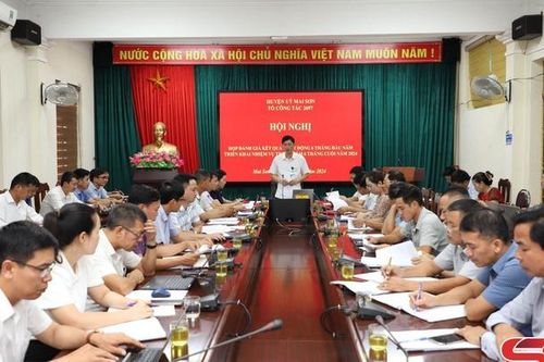 Mai Sơn sản xuất, tiêu thụ và xuất khẩu các sản phẩm nông nghiệp