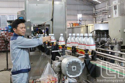 Phú Bình: Giải quyết việc làm cho gần 1.600 lao động