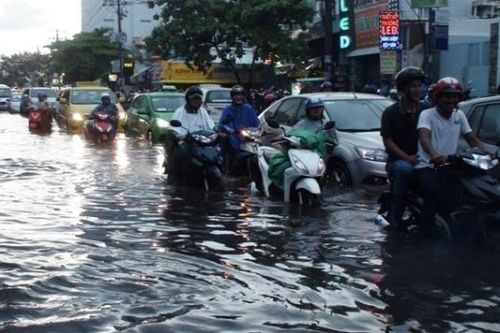 Chuyên gia JICA khuyến nghị chính sách phòng chống ngập đô thị