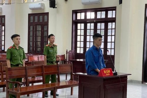Lần đầu tiên phạt 10 năm tù đối tượng vận chuyển động vật hoang dã từ châu Phi qua cảng Hải Phòng