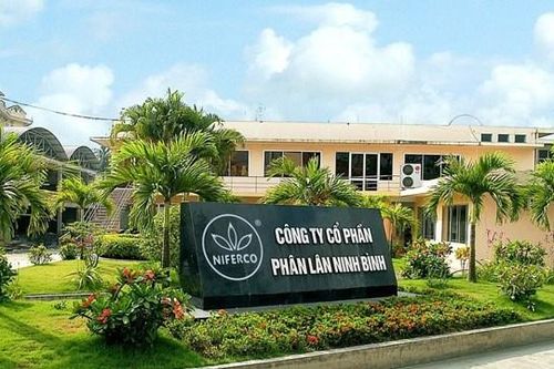 Phân lân Ninh Bình 'bùng nổ' doanh thu sau 6 tháng đầu năm