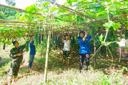Góp phần xây dựng đơn vị vững mạnh toàn diện