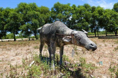 Xót xa khu du lịch 'phơi sương' cạnh bãi biển đẹp nhất Hà Tĩnh
