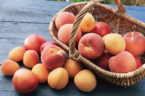 Cách chọn đào ngọt lịm chỉ cần nhìn thoáng qua