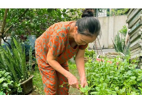 Phụ nữ thay đổi hành vi trong bảo đảm an toàn thực phẩm